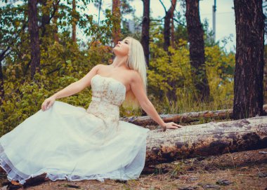 Ormanda beyaz elbiseli romantik bir gelin. Düğün konsepti kırsal bir tarzda. Gelinin güzelliği orman ve doğa, düğün modası ve giysi unsurlarıyla bir arada.