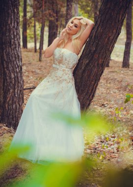 Ormanda beyaz elbiseli romantik bir gelin. Düğün konsepti kırsal bir tarzda. Gelinin güzelliği orman ve doğa, düğün modası ve giysi unsurlarıyla bir arada.