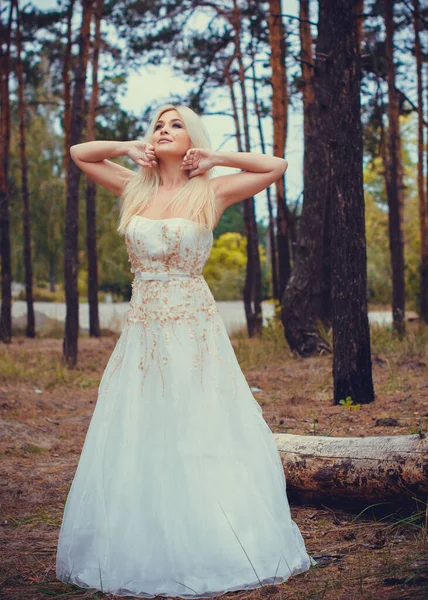 Noiva Terno Romântico Vestido Branco Floresta Conceito Casamento Estilo Rústico — Fotografia de Stock