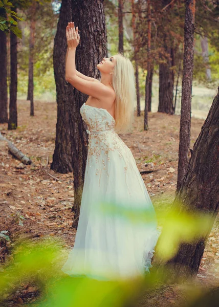 Noiva Terno Romântico Vestido Branco Floresta Conceito Casamento Estilo Rústico — Fotografia de Stock