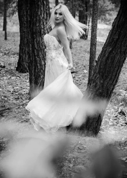 Ormanda Beyaz Elbiseli Romantik Bir Gelin Düğün Konsepti Kırsal Bir — Stok fotoğraf