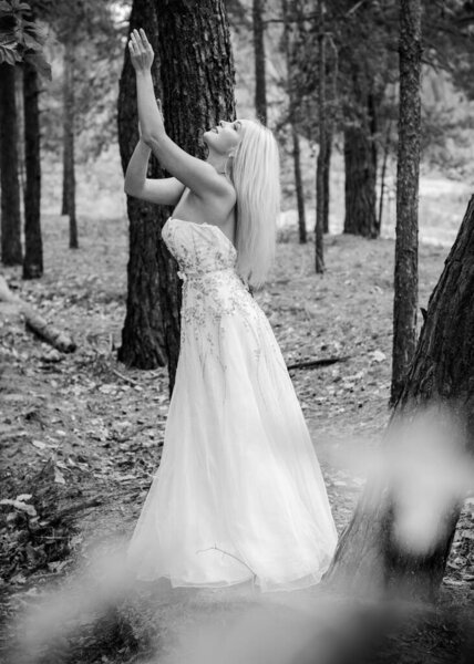 Romantic tender bride in a white dress in the forest. The concept of a wedding in a rustic style. Beauty of the bride in combination with forest and nature, wedding fashion and dress elements