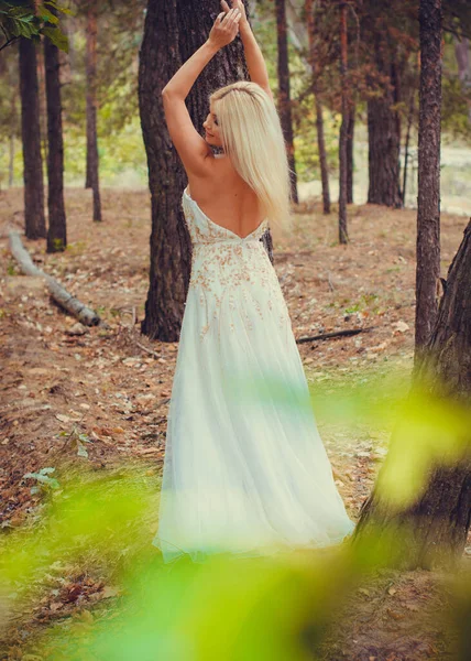 Ormanda Beyaz Elbiseli Romantik Bir Gelin Düğün Konsepti Kırsal Bir — Stok fotoğraf