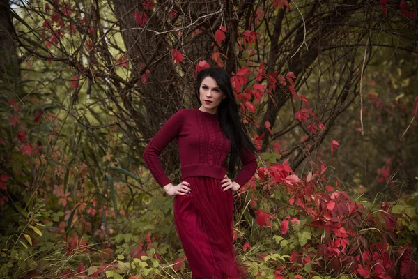 Goldene Herbstzeit Porträt Einer Modischen Frau Marsala Kleid Szene Park — Stockfoto