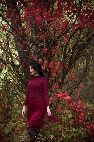 Outono Tempo Dourado Retrato Mulher Moda Usar Vestido Marsala Cena — Fotografia de Stock