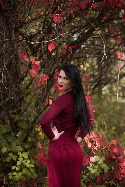 Outono Tempo Dourado Retrato Mulher Moda Usar Vestido Marsala Cena — Fotografia de Stock