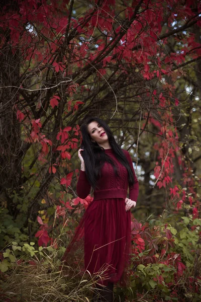 Otoño Tiempo Oro Retrato Mujer Moda Usar Vestido Marsala Escena — Foto de Stock