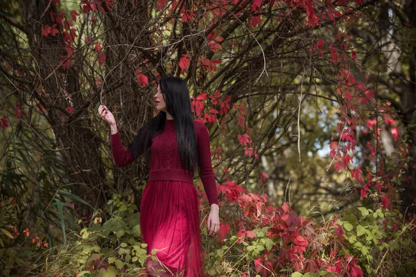 Goldene Herbstzeit Porträt Einer Modischen Frau Marsala Kleid Szene Park — Stockfoto