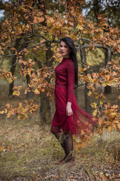 Autumn golden time, portrait of fashionable woman wear marsala dress , scene at park outdoors
