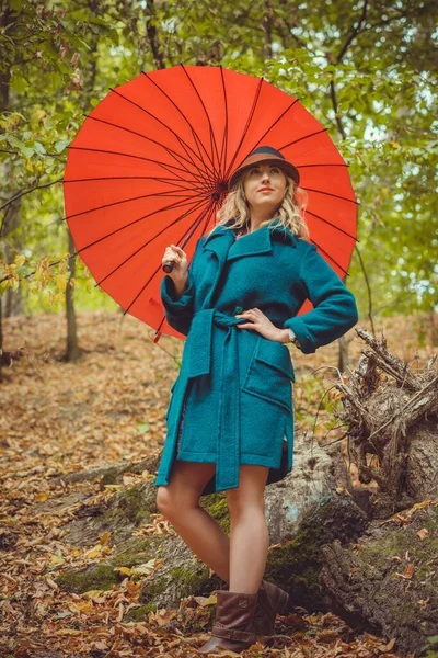 Mulher Outono Roupas Moda Conceito Moda Cena Parque Com Meia — Fotografia de Stock