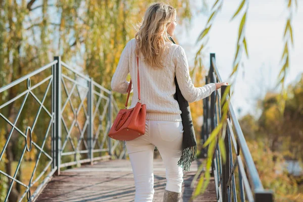 Vacker Kvinna Amerikanskt Eller Europeiskt Utseende Modernt Koncept Ung Dam — Stockfoto