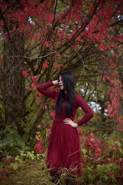 Outono Estação Outono Estilo Casual Mulheres Roupa Elegante Elementos Roupa — Fotografia de Stock