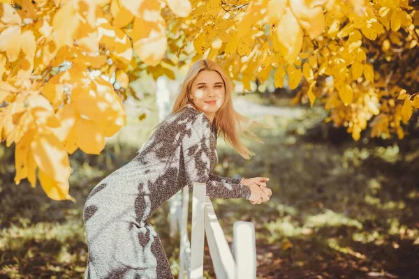 Sonbahar - sonbahar sezonu, büyük beden kadınlar için günlük tarz. Moda kıyafetleri ve kıyafet malzemeleri.