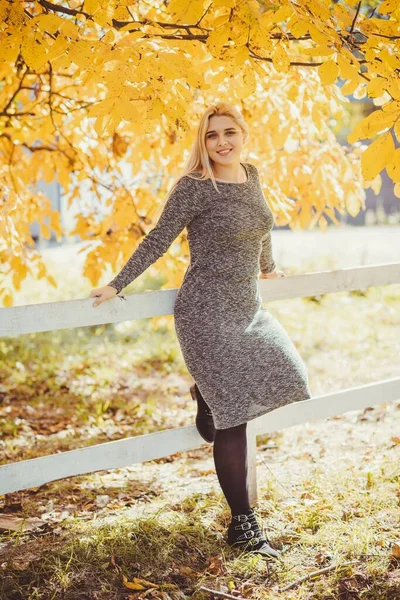 Automne Saison Automne Style Décontracté Pour Les Femmes Grande Taille — Photo