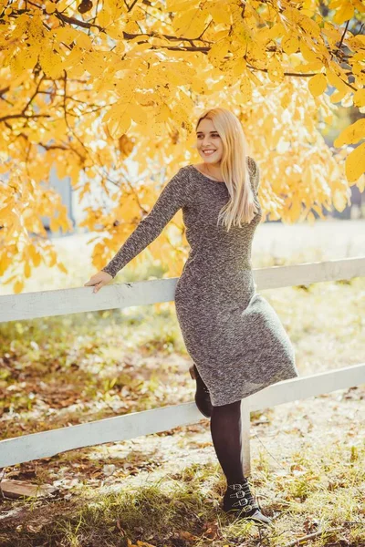 Outono Estação Outono Estilo Casual Mais Mulheres Tamanho Roupa Elegante — Fotografia de Stock