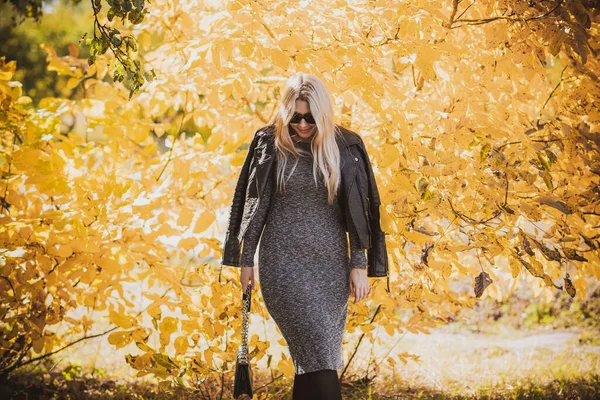 Herbst Herbst Lässiger Stil Für Size Frauen Modische Kleidung Und — Stockfoto