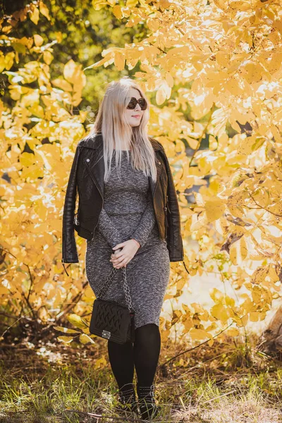 Outono Estação Outono Estilo Casual Mais Mulheres Tamanho Roupa Elegante — Fotografia de Stock