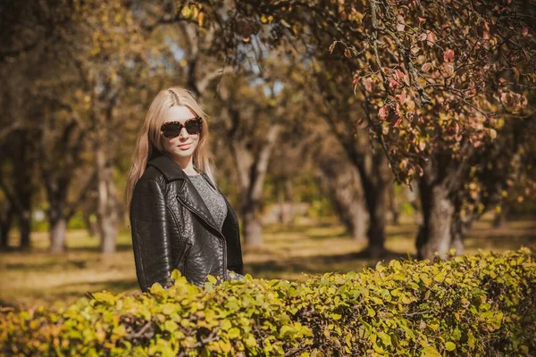 Herbst Herbst Lässiger Stil Für Size Frauen Modische Kleidung Und — Stockfoto