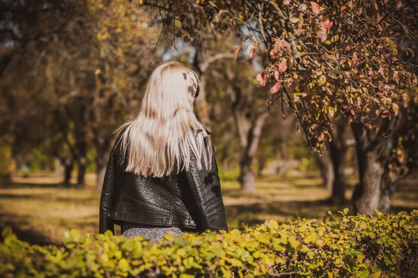 Sonbahar - sonbahar sezonu, büyük beden kadınlar için günlük tarz. Moda kıyafetleri ve kıyafet malzemeleri.