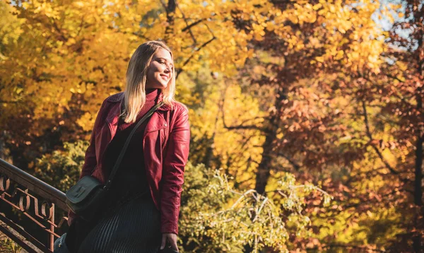 Herbst Herbst Lässiger Stil Für Size Frauen Modische Kleidung Und — Stockfoto
