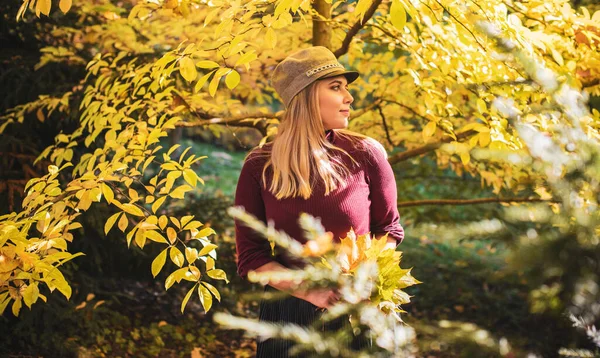 Herbst Herbst Lässiger Stil Für Size Frauen Modische Kleidung Und — Stockfoto