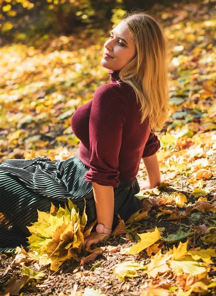 Outono Estação Outono Estilo Casual Mais Mulheres Tamanho Roupa Elegante — Fotografia de Stock