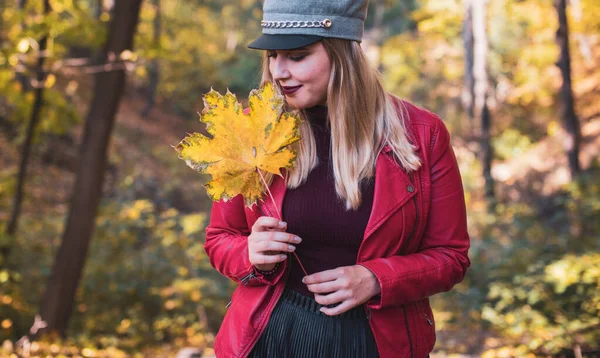 秋秋季节 风格随意 适合大号女性 时尚服装和服装元素 — 图库照片