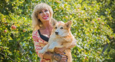 Corgi 'nin güzel köpeği olan kadın yürüyüşe çıkmış. Köpeklerin hayatı. Evcil hayvanlar en iyi arkadaştır. 