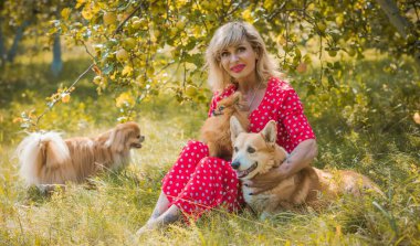 Corgi 'nin güzel köpeği olan kadın yürüyüşe çıkmış. Köpeklerin hayatı. Evcil hayvanlar en iyi arkadaştır. 