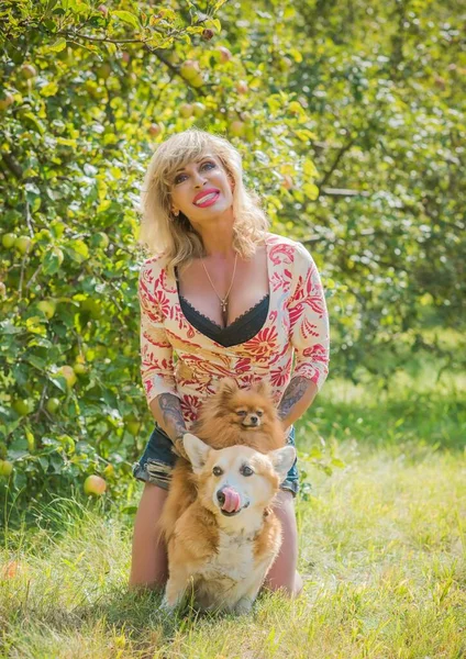 Femme Avec Beau Chien Race Corgi Pour Une Promenade Vie — Photo