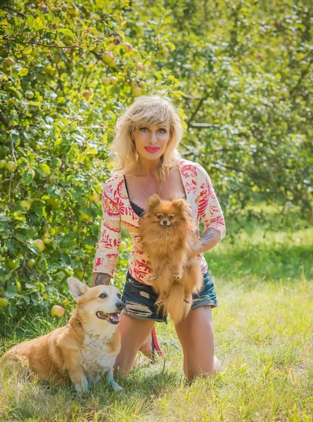 Mulher Com Bom Cão Raça Corgi Para Uma Caminhada Vida — Fotografia de Stock