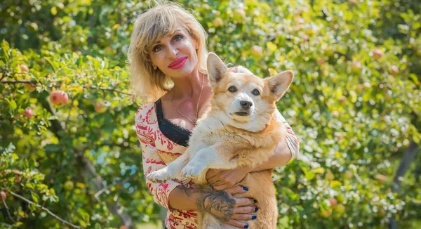 Corgi 'nin güzel köpeği olan kadın yürüyüşe çıkmış. Köpeklerin hayatı. Evcil hayvanlar en iyi arkadaştır. 