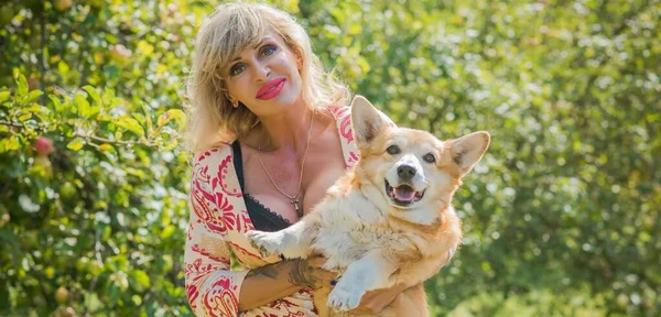 Corgi 'nin güzel köpeği olan kadın yürüyüşe çıkmış. Köpeklerin hayatı. Evcil hayvanlar en iyi arkadaştır. 