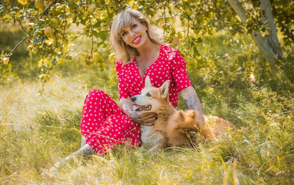 Corgi 'nin güzel köpeği olan kadın yürüyüşe çıkmış. Köpeklerin hayatı. Evcil hayvanlar en iyi arkadaştır. 