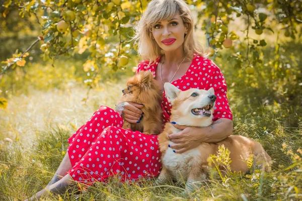 Corgi 'nin güzel köpeği olan kadın yürüyüşe çıkmış. Köpeklerin hayatı. Evcil hayvanlar en iyi arkadaştır. 