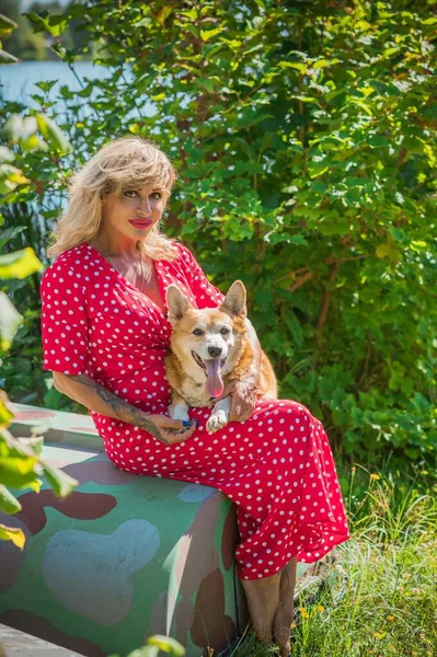 Corgi 'nin güzel köpeği olan kadın yürüyüşe çıkmış. Köpeklerin hayatı. Evcil hayvanlar en iyi arkadaştır. 