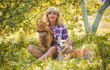 Pomeranian Spitz cinsinden güzel bir köpeği olan bir kadın yürüyüşe çıktı. Köpeklerin hayatı. Evcil hayvanlar en iyi arkadaştır. 