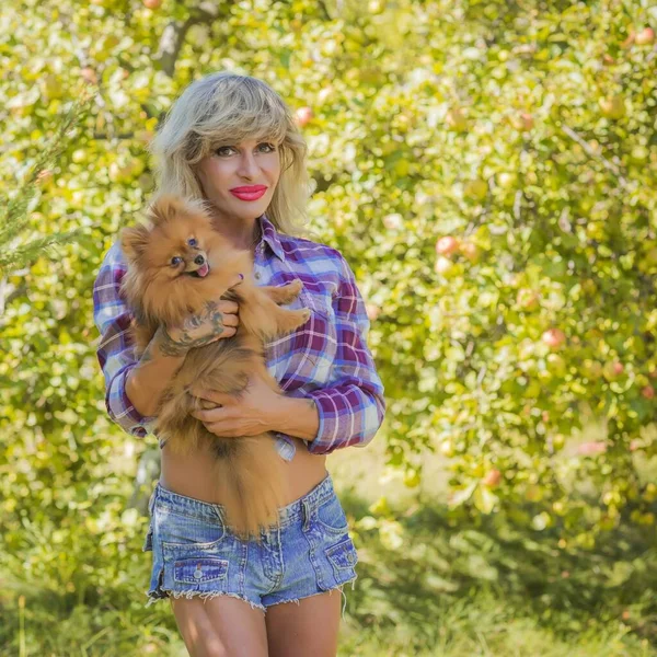 Vrouw Met Een Leuke Hond Van Mini Pomeranian Spitz Ras — Stockfoto