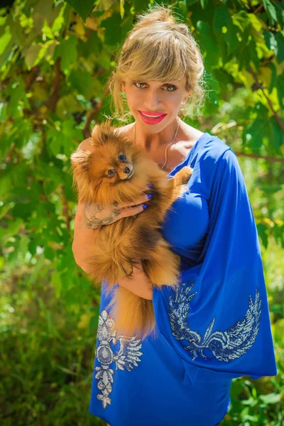 Pomeranian Spitz cinsinden güzel bir köpeği olan bir kadın yürüyüşe çıktı. Köpeklerin hayatı. Evcil hayvanlar en iyi arkadaştır. 