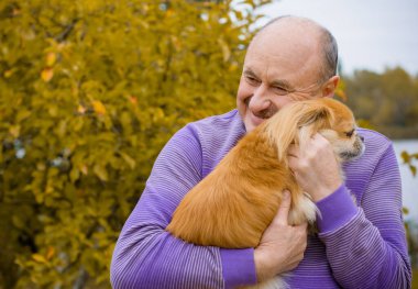 Emekli olmuş yaşlı bir adam, parkta gezintiye çıkmış kırmızı Pekin hayvanıyla köpek sever. Hayvanların sevgisini ve bakımını kavrayın. İyi insanlar evcil hayvanlara bakar.