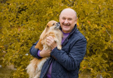Emekli olmuş yaşlı bir adam, parkta gezintiye çıkmış kırmızı Pekin hayvanıyla köpek sever. Hayvanların sevgisini ve bakımını kavrayın. İyi insanlar evcil hayvanlara bakar.