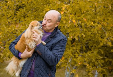 Emekli olmuş yaşlı bir adam, parkta gezintiye çıkmış kırmızı Pekin hayvanıyla köpek sever. Hayvanların sevgisini ve bakımını kavrayın. İyi insanlar evcil hayvanlara bakar.