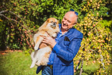 Emekli olmuş yaşlı bir adam, parkta gezintiye çıkmış kırmızı Pekin hayvanıyla köpek sever. Hayvanların sevgisini ve bakımını kavrayın. İyi insanlar evcil hayvanlara bakar.