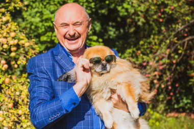 Emekli olmuş yaşlı bir adam, parkta gezintiye çıkmış kırmızı Pekin hayvanıyla köpek sever. Hayvanların sevgisini ve bakımını kavrayın. İyi insanlar evcil hayvanlara bakar.