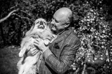 Emekli olmuş yaşlı bir adam, parkta gezintiye çıkmış kırmızı Pekin hayvanıyla köpek sever. Hayvanların sevgisini ve bakımını kavrayın. İyi insanlar evcil hayvanlara bakar.