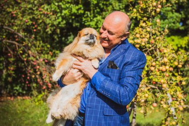 Emekli olmuş yaşlı bir adam, parkta gezintiye çıkmış kırmızı Pekin hayvanıyla köpek sever. Hayvanların sevgisini ve bakımını kavrayın. İyi insanlar evcil hayvanlara bakar.