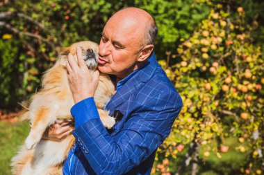 Emekli olmuş yaşlı bir adam, parkta gezintiye çıkmış kırmızı Pekin hayvanıyla köpek sever. Hayvanların sevgisini ve bakımını kavrayın. İyi insanlar evcil hayvanlara bakar.