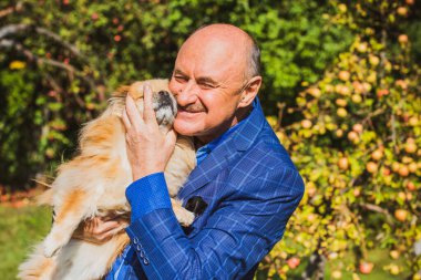 Emekli olmuş yaşlı bir adam, parkta gezintiye çıkmış kırmızı Pekin hayvanıyla köpek sever. Hayvanların sevgisini ve bakımını kavrayın. İyi insanlar evcil hayvanlara bakar.