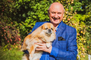 Emekli olmuş yaşlı bir adam, parkta gezintiye çıkmış kırmızı Pekin hayvanıyla köpek sever. Hayvanların sevgisini ve bakımını kavrayın. İyi insanlar evcil hayvanlara bakar.