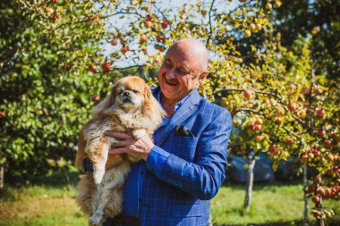Emekli olmuş yaşlı bir adam, parkta gezintiye çıkmış kırmızı Pekin hayvanıyla köpek sever. Hayvanların sevgisini ve bakımını kavrayın. İyi insanlar evcil hayvanlara bakar.